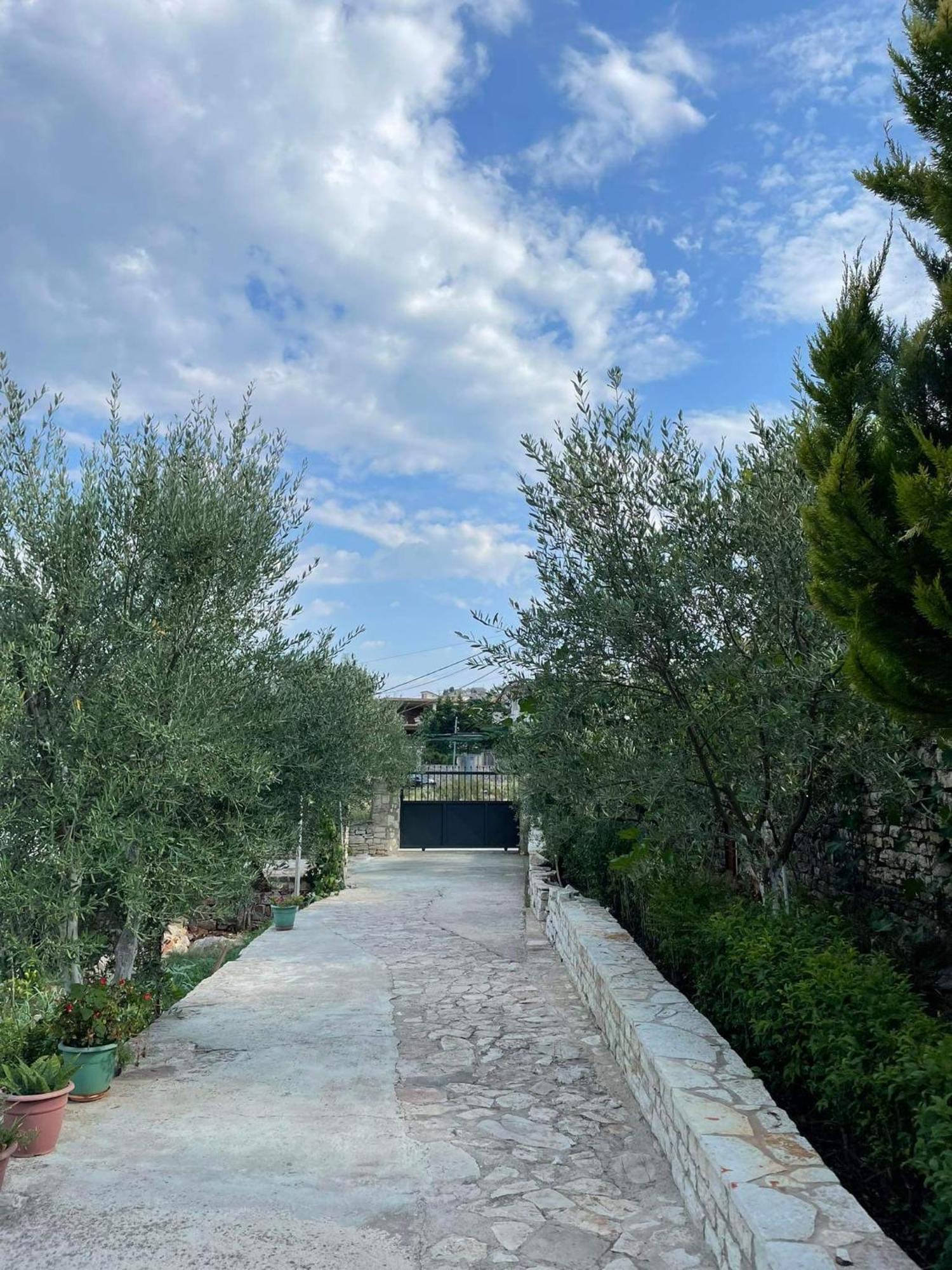 Villa Anna Σαράντα Εξωτερικό φωτογραφία
